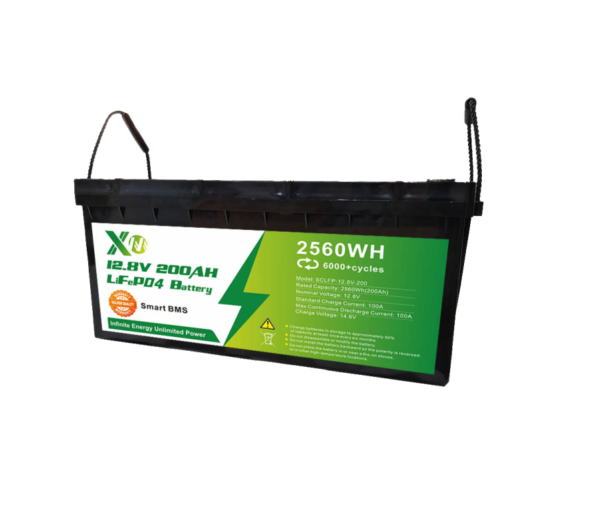 Lithium substituted lead battery